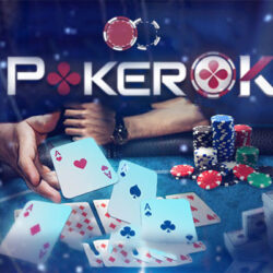 Players' opinion about the features of playing at PokerOK
